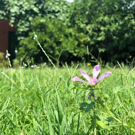 Appartement Pavicevic *