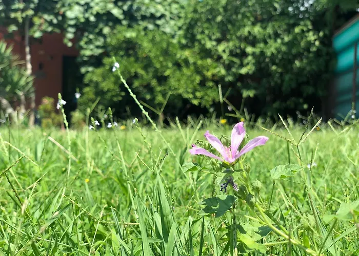 Lägenhet Pavicevic *